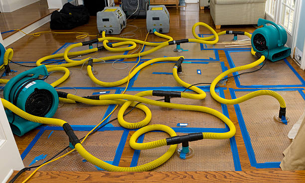 Professional Basement Flood Cleanup technician working in Hughson, CA